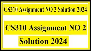 CS310 Assignment NO 2 Solution 2024