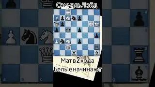 🧠 задача Лойда 13. Мат в 2 хода. #chess_stories_shorts #chess #шахматы #задачи #шахматныезадачи