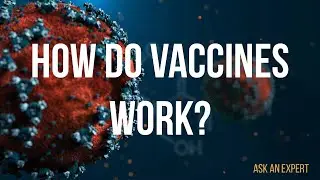 How do vaccines work?