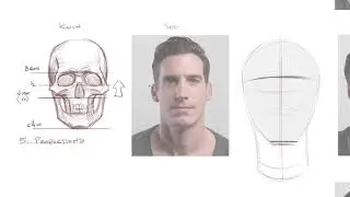 Head Drawing, Part 2: Understanding Proportions