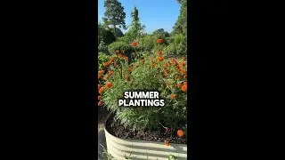 Summer Planting Garden