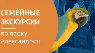 Петергоф запускает семейные экскурсии по парку "Александрия"