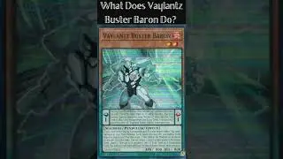 What Does Vaylantz Buster Baron Do?