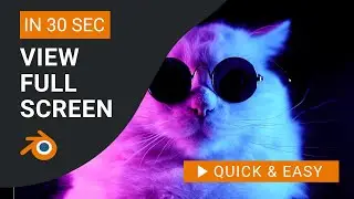 Blender Tutorial: How to View Full Screen in Blender Video Editor