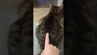 Та-тань