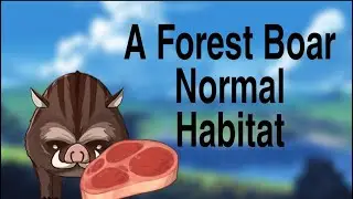 Genshin Impact | A Normal Forest Boar Habitat