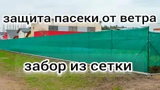 ЗАЩИТА ПАСЕКИ ОТ ВЕТРА И СОЛНЦА. ВЕНТИЛЯЦИЯ В УЛЬЕ В ЗИМОВНИКЕ . BEEKEEPING. BEE. пчеловодство.
