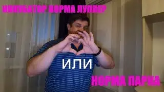 ИНКУБАТОР НОРМА ЛУППЕР ИЛИ НОРМА ПАРКА........................