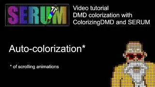 13 - Auto-colorization of DMD