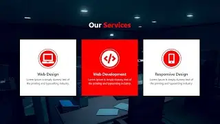 Responsive Animated Services Section Design Using HTML And CSS | CoderRishad