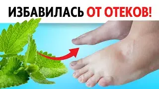 Мяту запасаю и не отекаю! Легко и дешево! Простое средство от отеков!