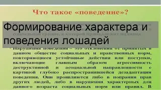 Формирование характера и поведения лошадей