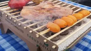 Горит ли Картонный Эко гриль-мангал CasusGrill ,обзор и инструкция к применению. Гриль Эгоист .