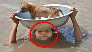 10 AMAZING Animal Rescues THAT WILL SHOCK YOU!