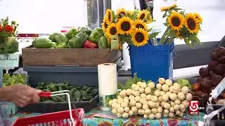 Plymouth, Massachusetts, farmers market offers fresh food straight from the source