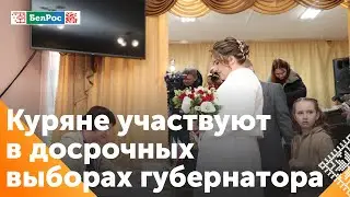 Куряне принимают участие в досрочных выборах губернатора региона в ПВР