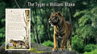 The Tyger