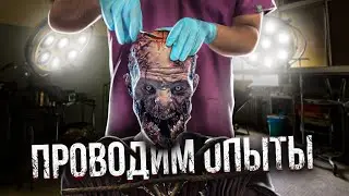 САМЫЕ ТУПЫЕ И УМНЫЕ ЗОМБИ