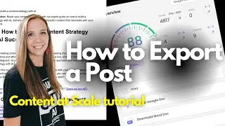 How to Export Your Posts in Content at Scale