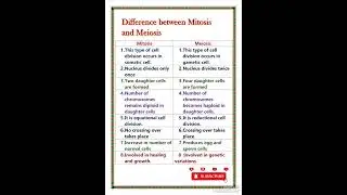 Difference between mitosis and meiosis