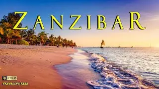 Zanzibar Island is WAY More Than You Think!! See it Now!! [4K]