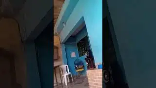 13 de maio de 2025