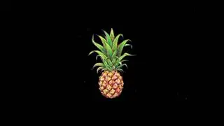 DANCEHALL RIDDIM INSTRUMENTAL 2021 - (DRUGS AND MONEY )