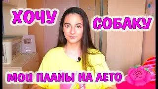 МОИ ПЛАНЫ НА ЛЕТО / КАК НЕ ПРОПУСТИТЬ ЛЕТО / МОЕ ЭФФЕКТИВНОЕ ЛЕТО / АЛИСА ИЗИ ВЛОГ