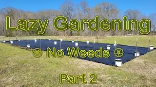 Lazy Gardening, Part 2 - No Weeds