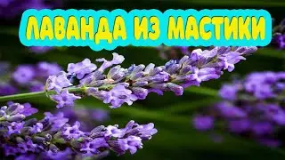 Мастер класс по цветам.  Лаванда своими руками. Цветок из мастики.=)))