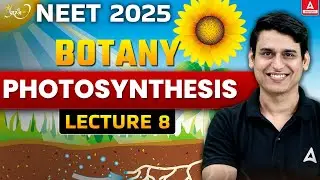 Photosynthesis in Higher Plants Class 11|NEET 2025 | Prarambh Series | NEET Botany | Param Sir