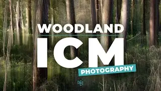 Woodland ICM Photography