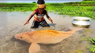 Tecnich For Catching Fish 🐟🐟🐠🐠🐟#fishingvideo #fish