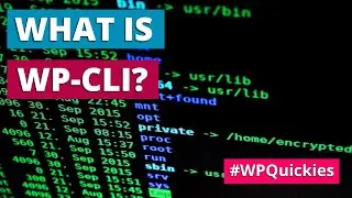 What Is WP-CLI? - WPQuickies