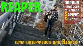 Тема интерфейса для Cockos Reaper.