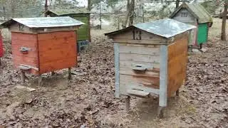 Разлив Днепра. Боимся затопления пасеки!!!