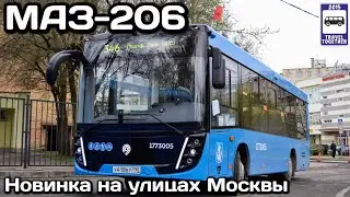 🇷🇺Новинка! МАЗ-206.486 рестайлинг “Московский транспорт”. На линии с 09.05.2021 | Bus “MAZ-206.486