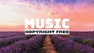 12 Hours of Free Background Music - Copyright Free Music for Creators and Streamers