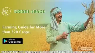 Krishi Trade - App to Increase Revenues and Income of all Farmers!