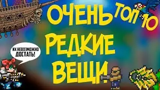 ТОП 10 РЕДКИХ ВЕЩЕЙ В ТЕРРАИИ