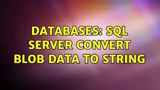 Databases: SQL SERVER Convert BLOB data to STRING