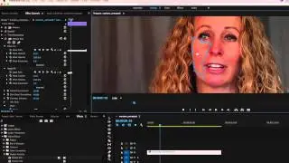 Using Premiere Pro's Tracking Masks with Beauty Box Skin Retouching Plugin