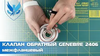 ⛲️🔷Клапан обратный межфланцевый Genebre 2406, 🎥 дисковый обратный клапан для воды | АРМАШОП