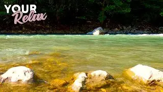 4K Video of a Mountain River. Sounds Of Nature 1-Hour For Sleep And Relaxation.
