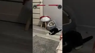 Mortal Combat 😨😨😨