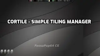 Cortile overview: tiling window function in puppylinux, i.e. F96-CE4