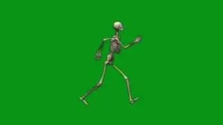 Green Screen Effects Animated Skeleton