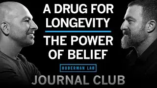 Journal Club with Dr. Peter Attia | Metformin for Longevity & The Power of Belief Effects