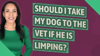 Should I take my dog to the vet if he is limping?