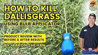 How to kill Dallisgrass with bulb applicator